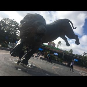 Meet your Posher, Dawn